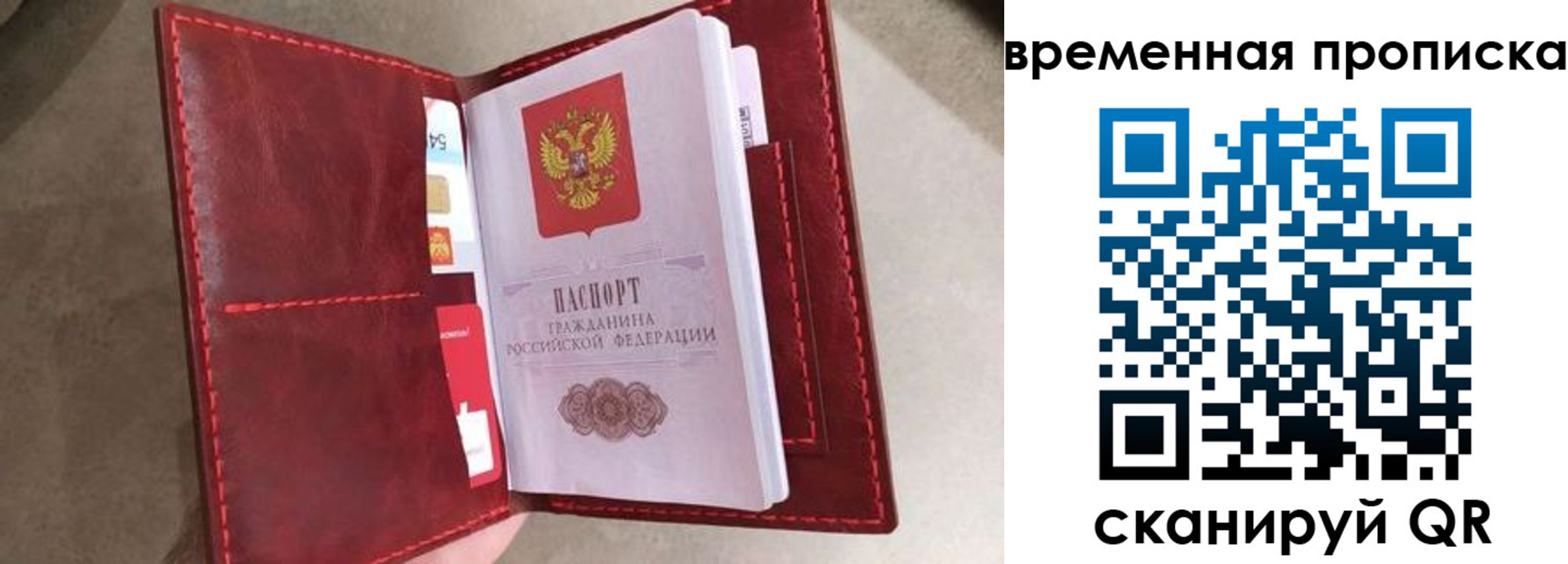 прописка в Курской области