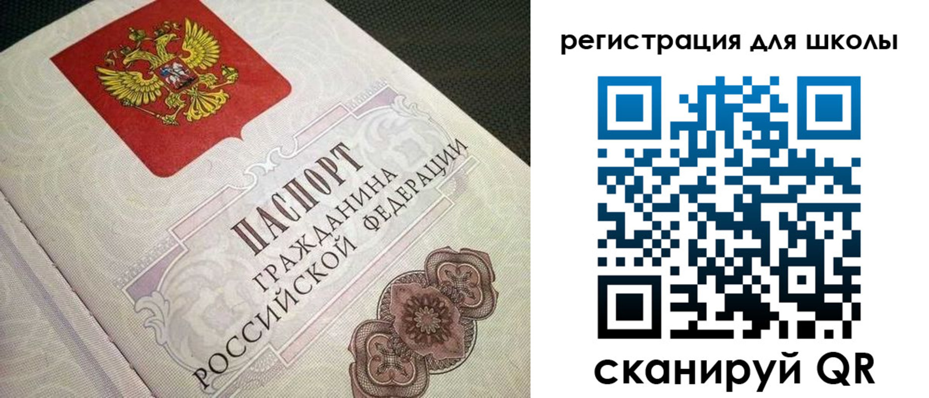 прописка паспорт в Курской области